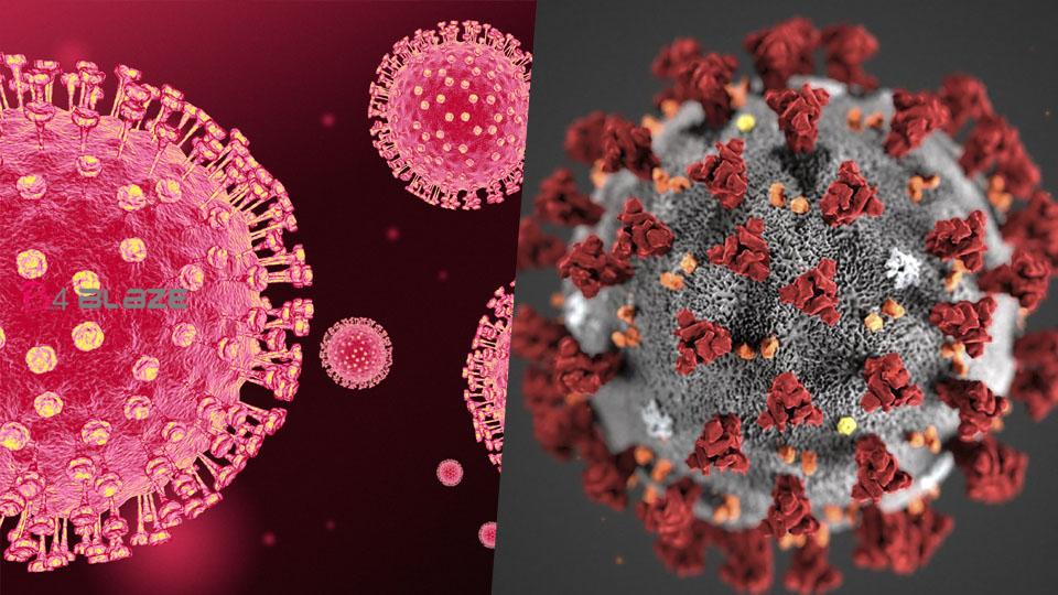 'Hanta virus' after 'corona virus' ... one dies in China; 3 people were tested!