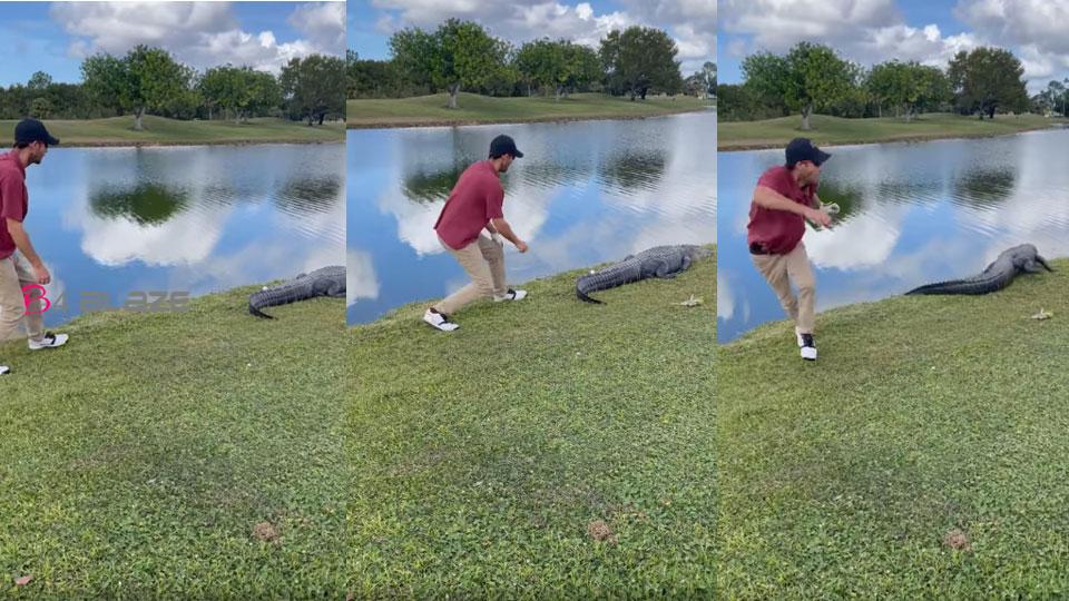 What happened when went to pick up a golf ball lying near the crocodile's tail!