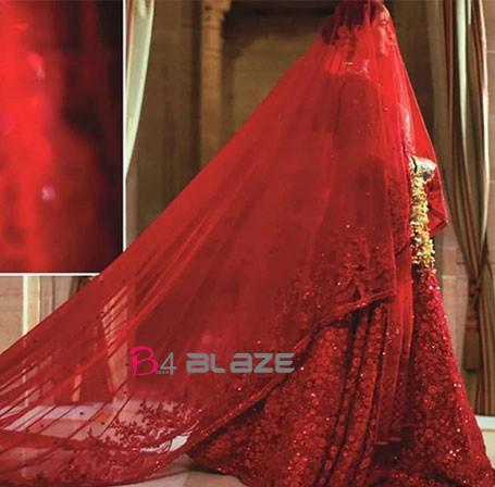  Priyanka Chopra  Wedding Photoshoot