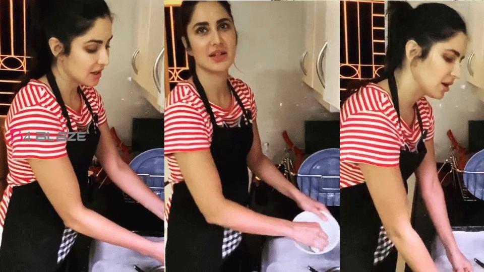 Corona Effect Made on holiday, Katrina Kaif and Karthik Aryan seen washing dishes at home