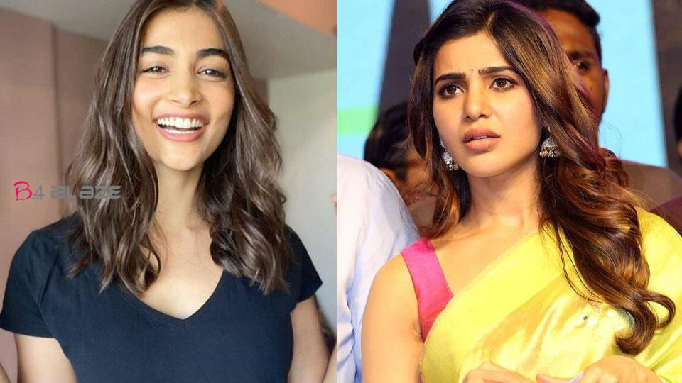Actress Pooja Hegde must apologize to Samantha, Fans with hashtags