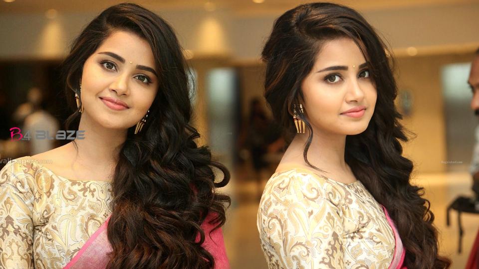 Like Merry, there has been love and breakup in my life Anupama Parameswaran