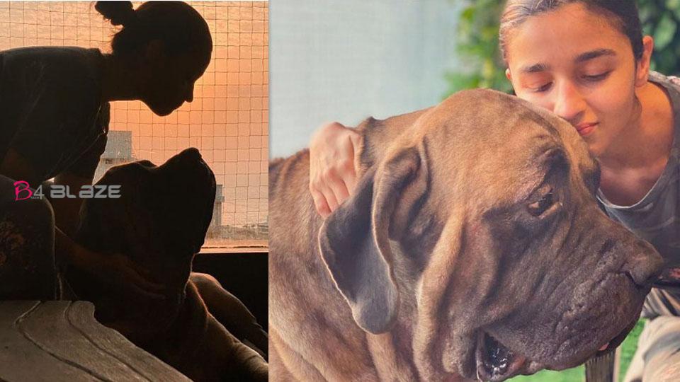 Alia Bhatt sharing time with Ranbir Kapoor's doggie, photo are viral